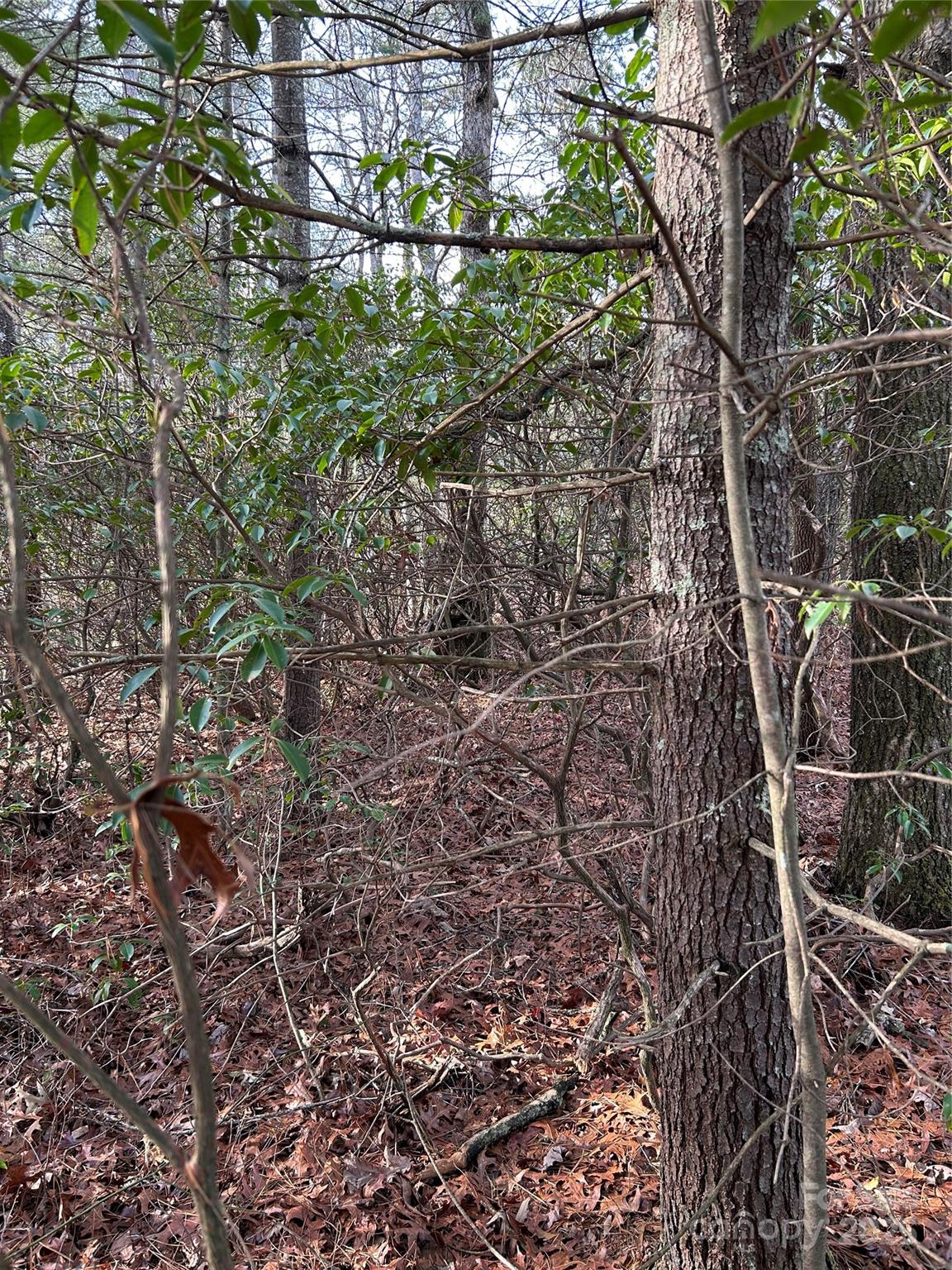00 Howell Road Brevard NC 28712