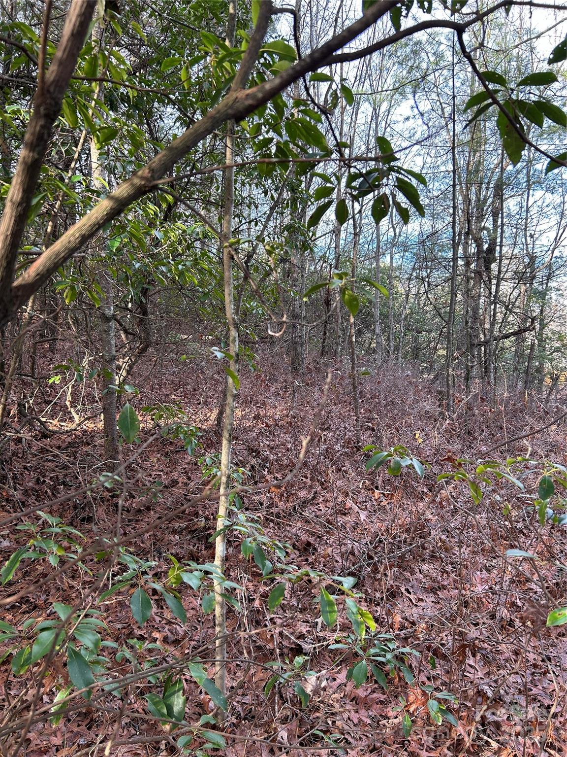 00 Howell Road Brevard NC 28712