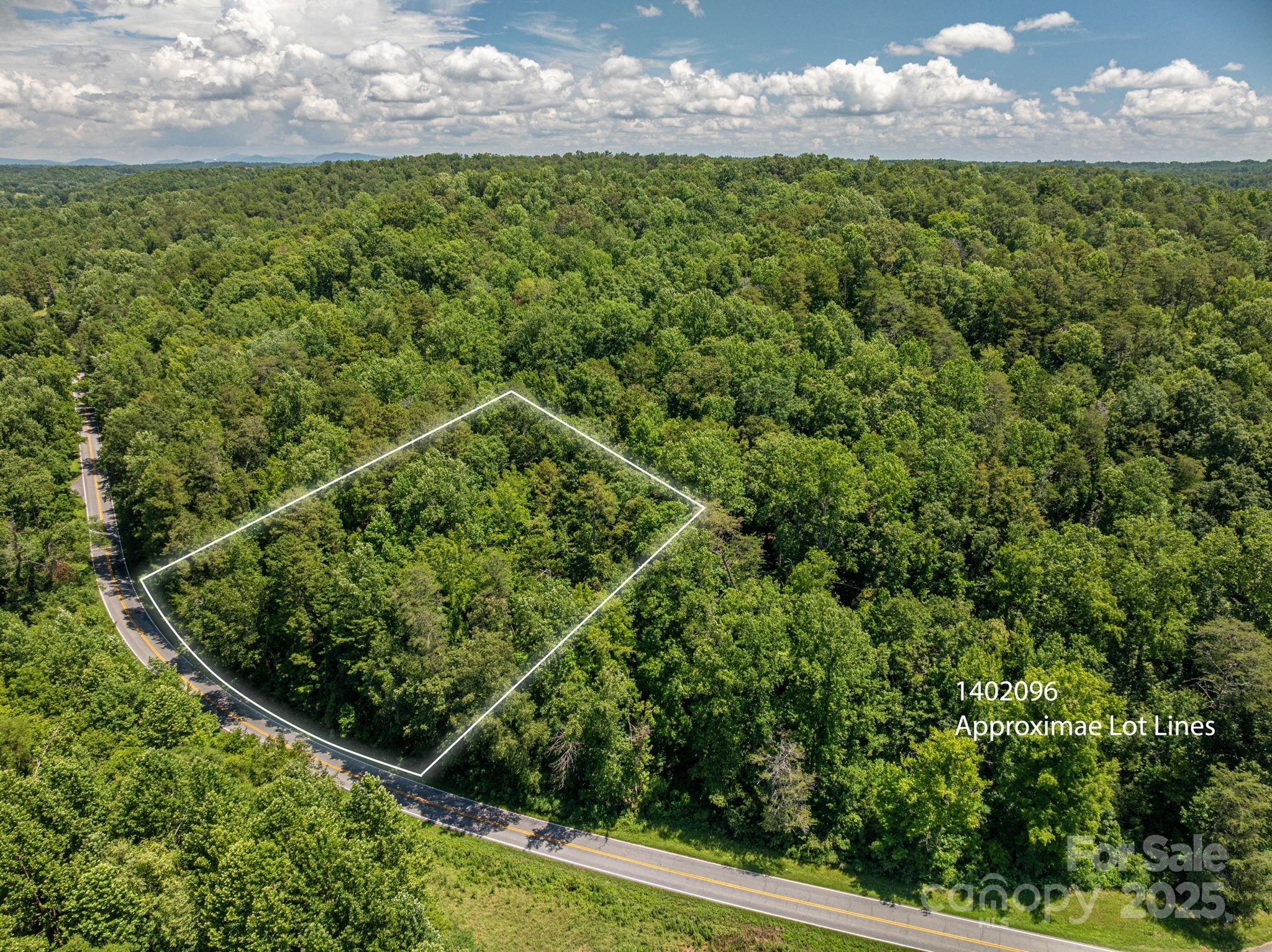 Lot 162 Coxe Road Rutherfordton NC 28139