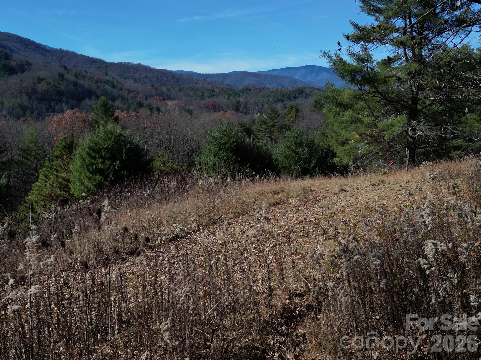 00 Dream Valley Drive Clyde NC 28721