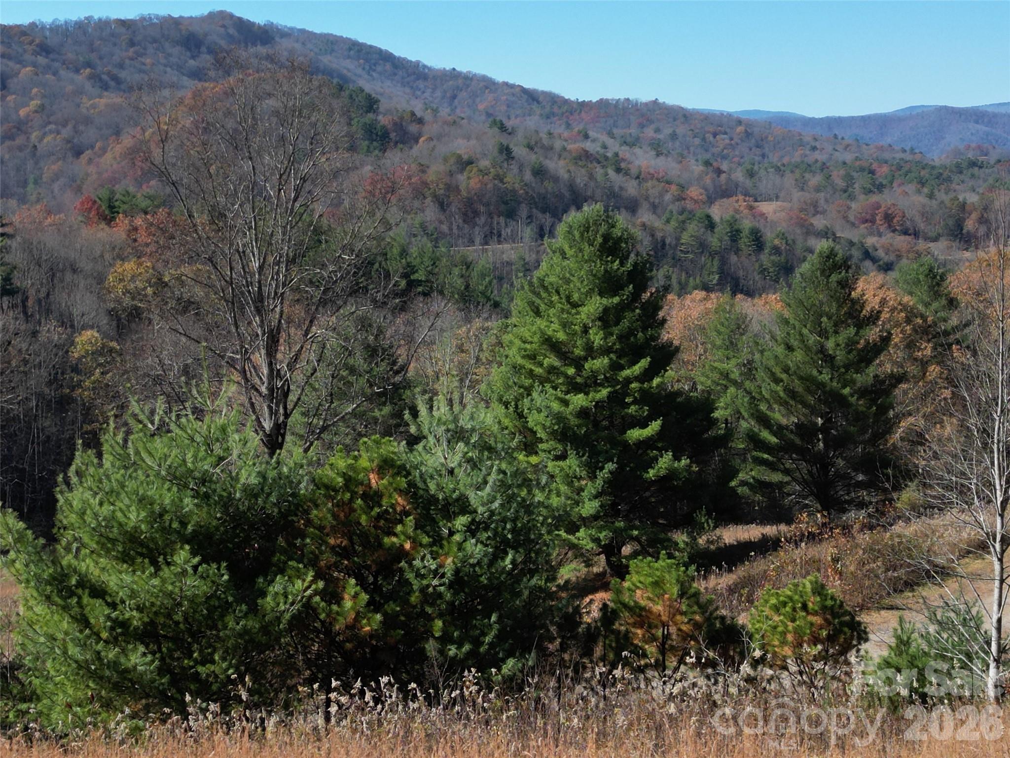 00 Dream Valley Drive Clyde NC 28721