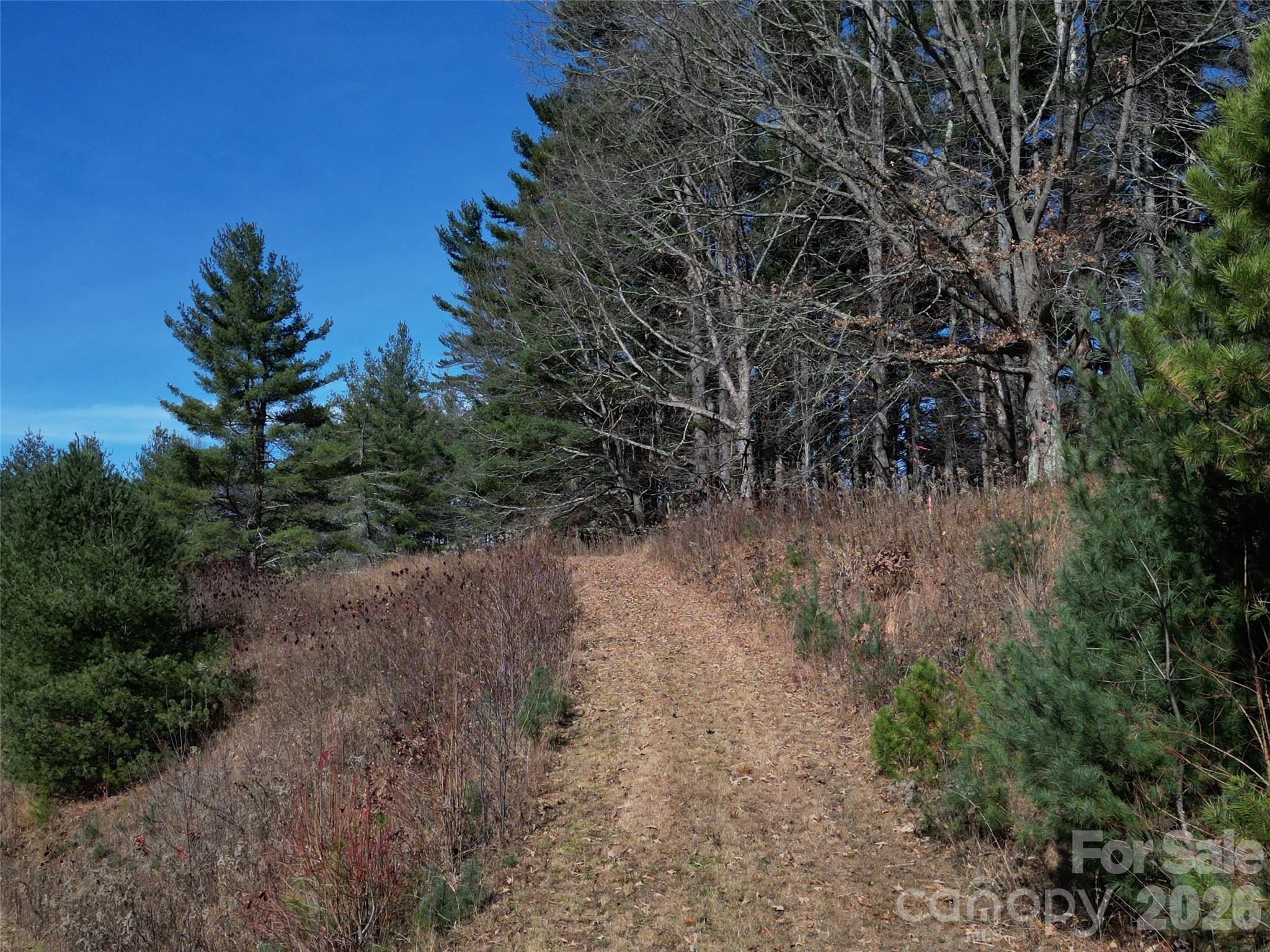 00 Dream Valley Drive Clyde NC 28721