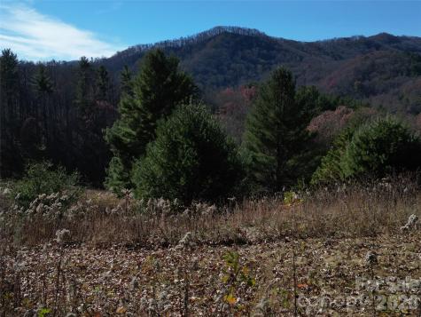 00 Dream Valley Drive Clyde NC 28721
