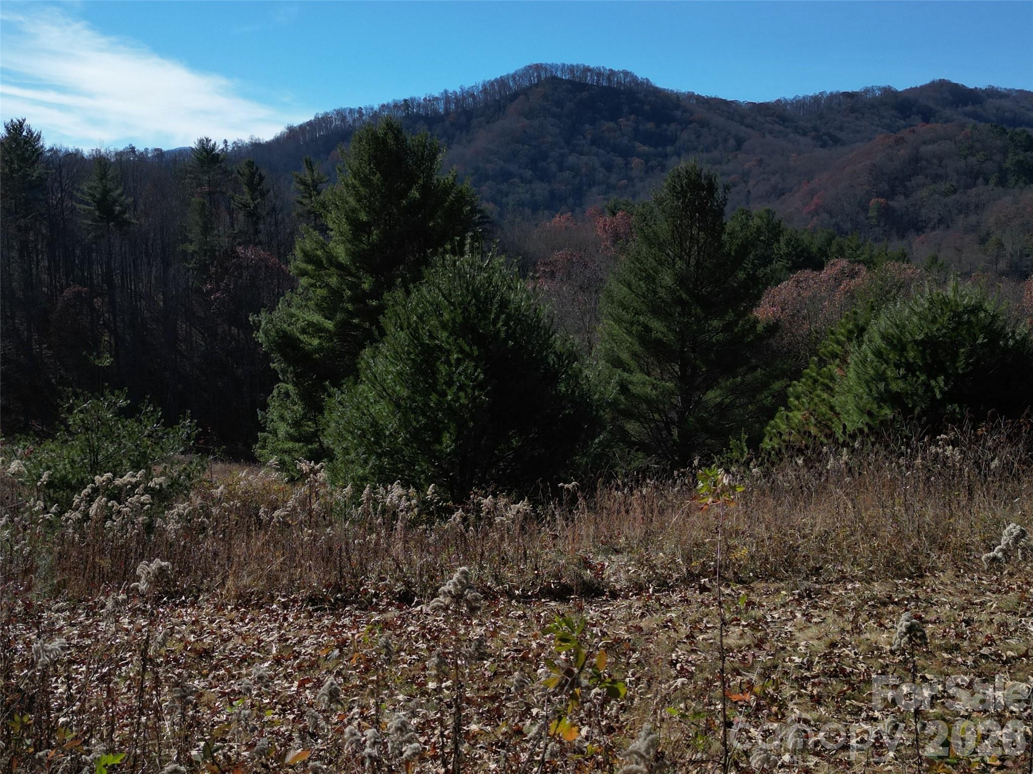 00 Dream Valley Drive Clyde NC 28721