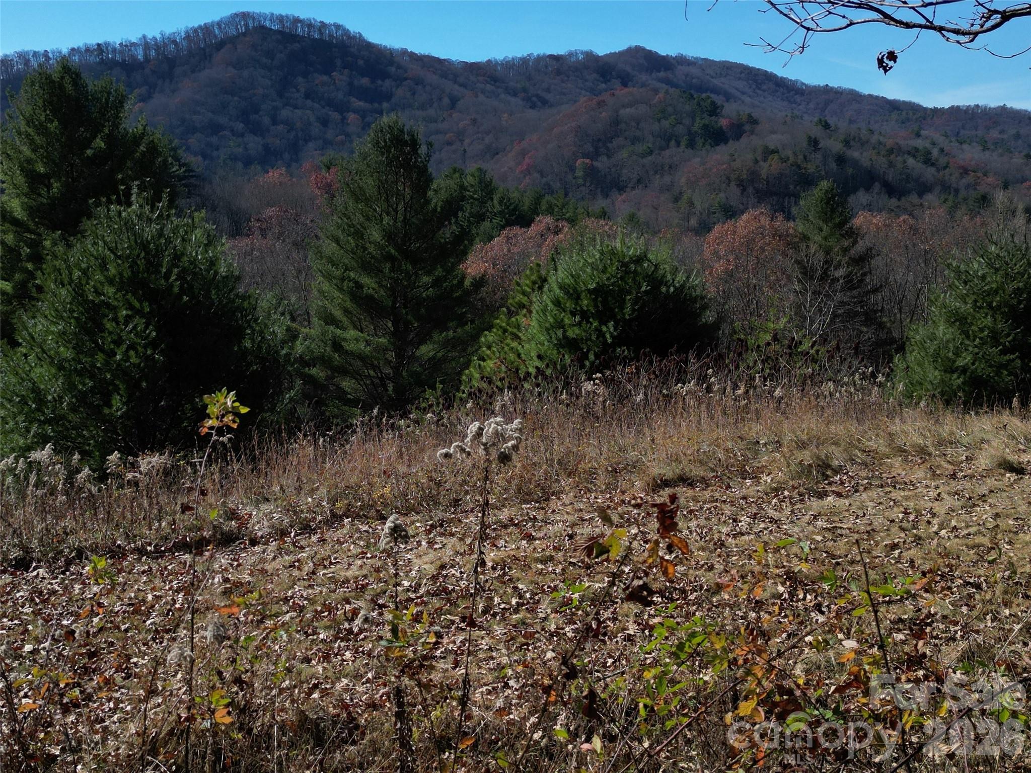 00 Dream Valley Drive Clyde NC 28721