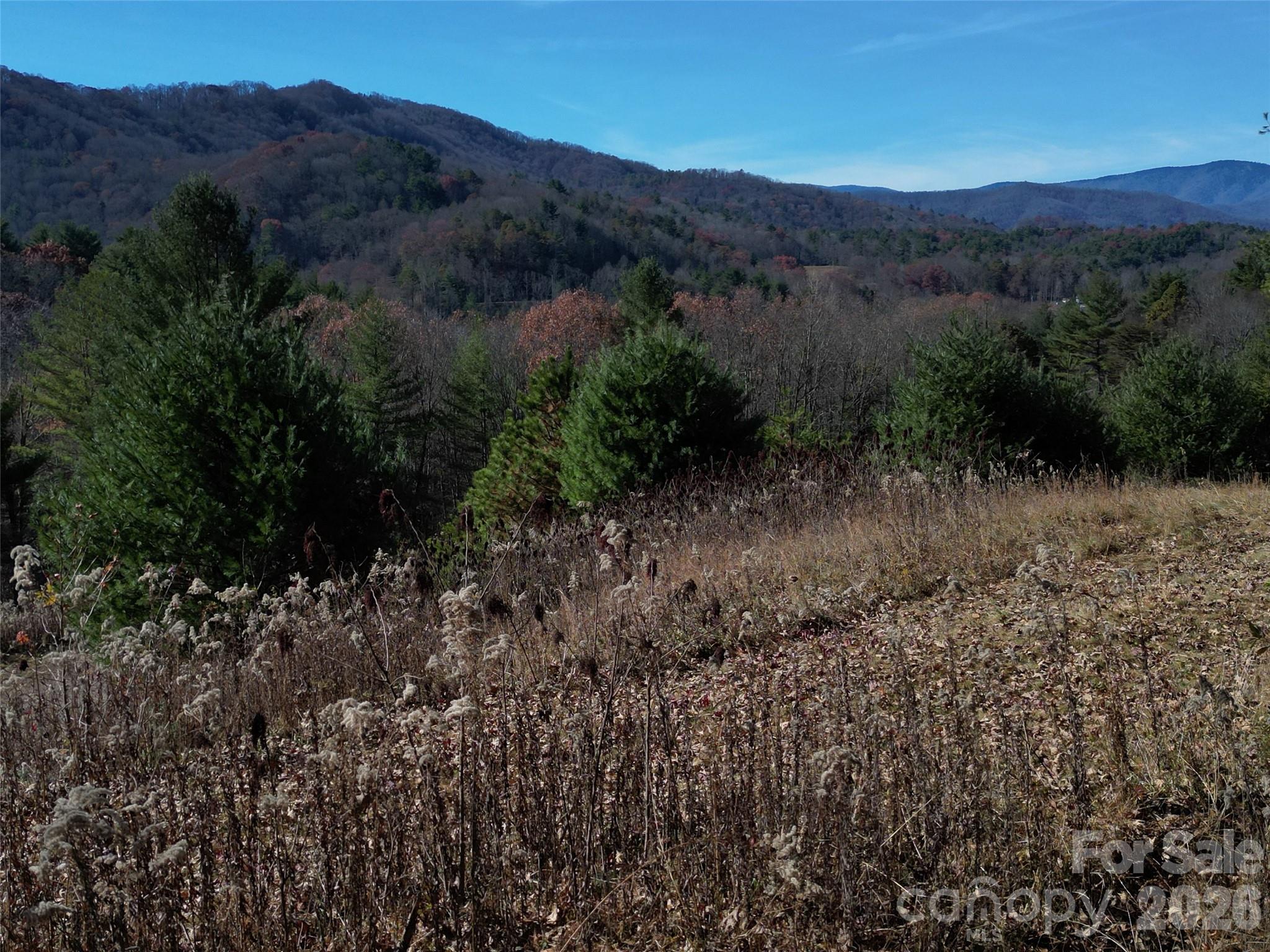 00 Dream Valley Drive Clyde NC 28721