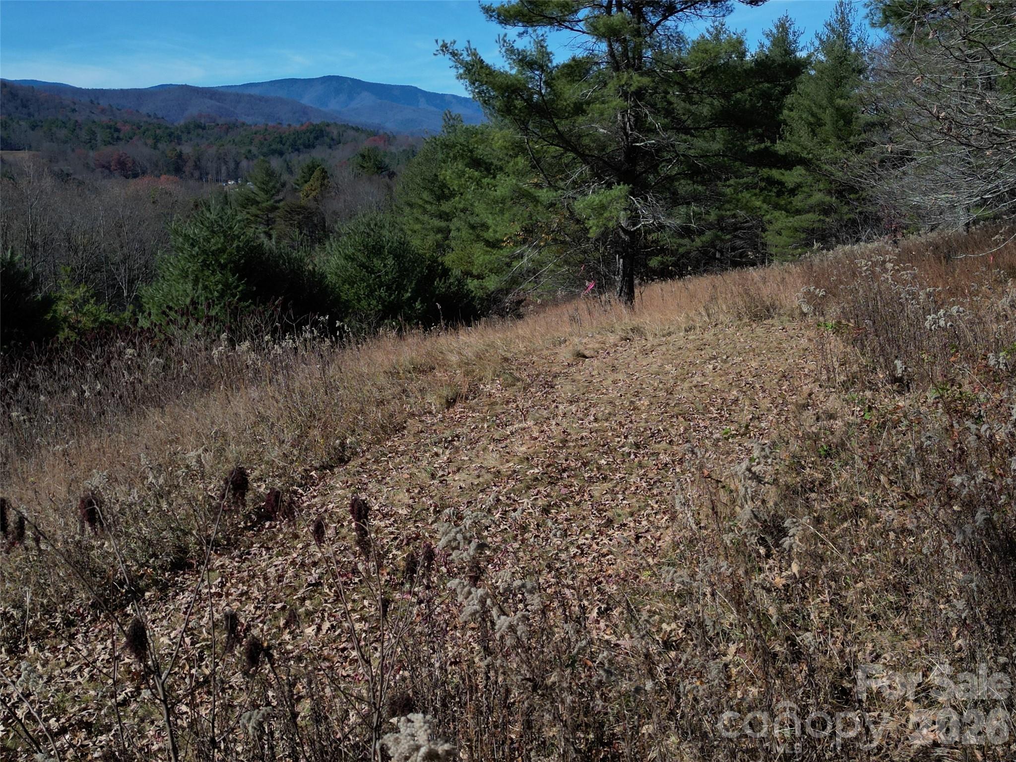00 Dream Valley Drive Clyde NC 28721