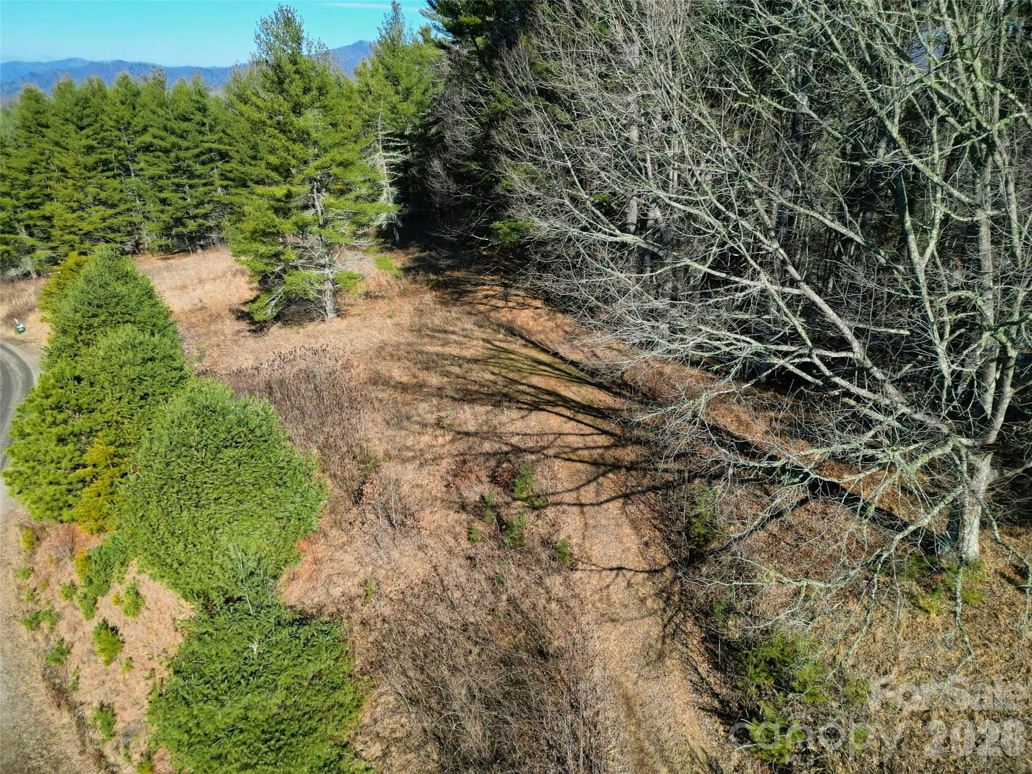 00 Dream Valley Drive Clyde NC 28721
