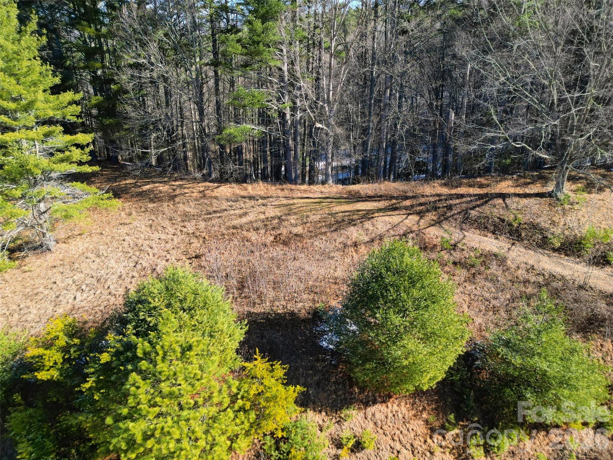 00 Dream Valley Drive Clyde NC 28721