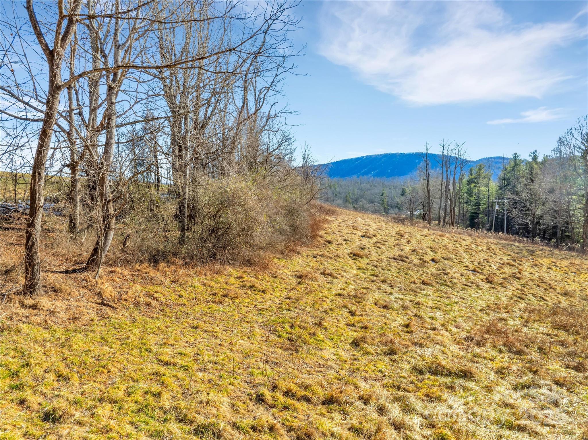94 Ebenezer Trail Hendersonville NC 28739