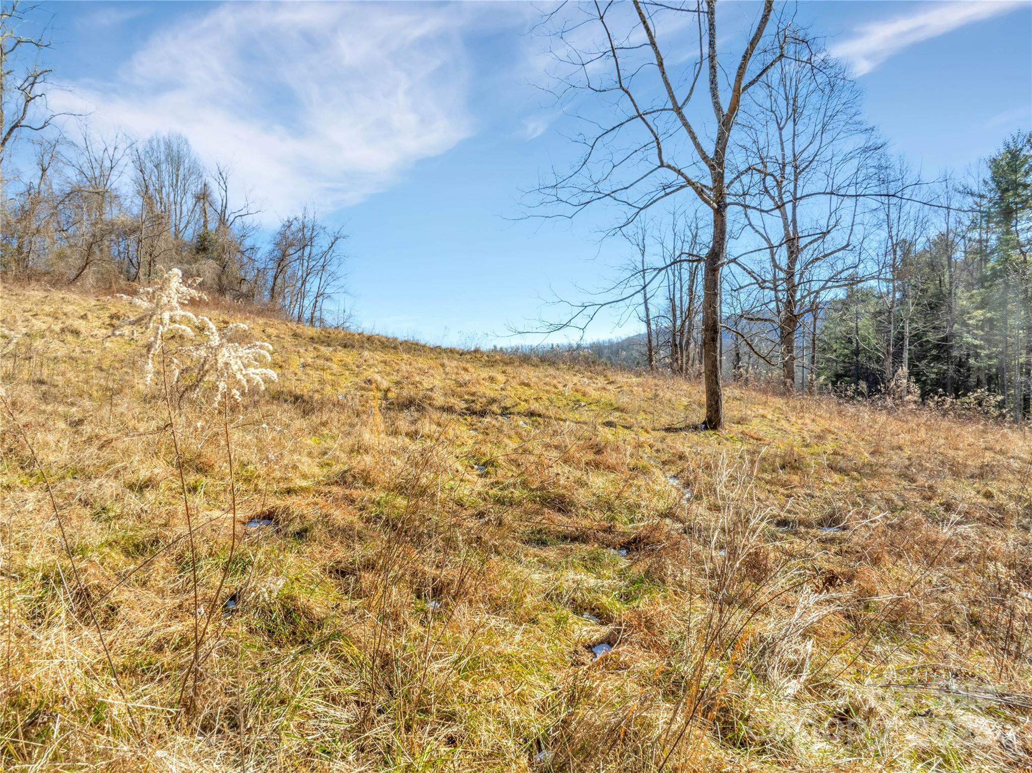 94 Ebenezer Trail Hendersonville NC 28739