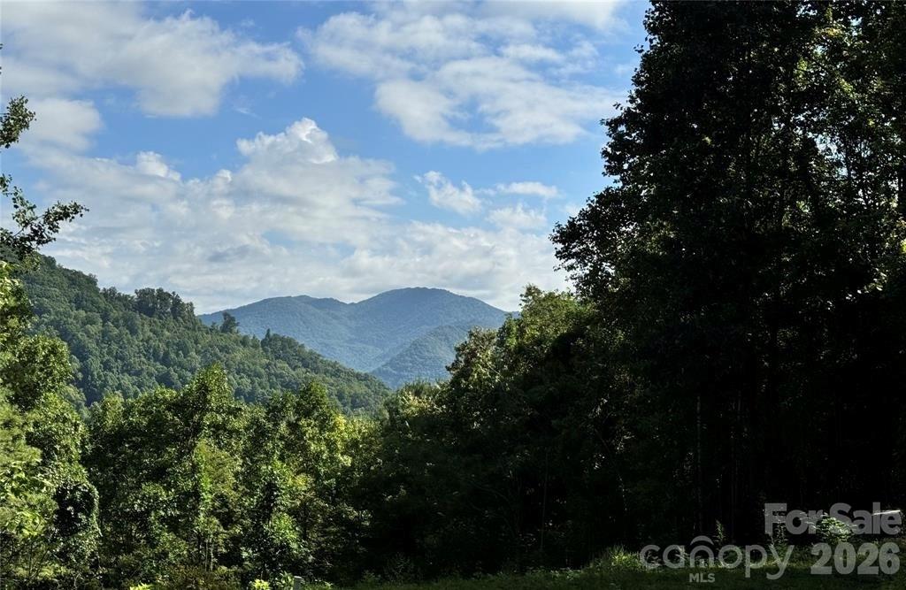 350 Scotts Trail Madison NC 28743