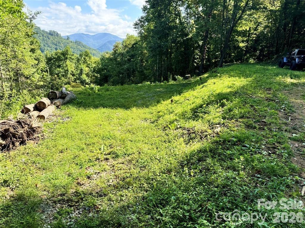 350 Scotts Trail Madison NC 28743