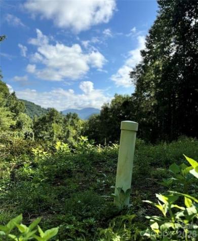 350 Scotts Trail Madison NC 28743