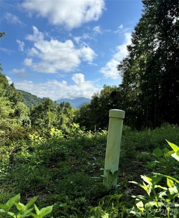 350 Scotts Trail Madison NC 28743