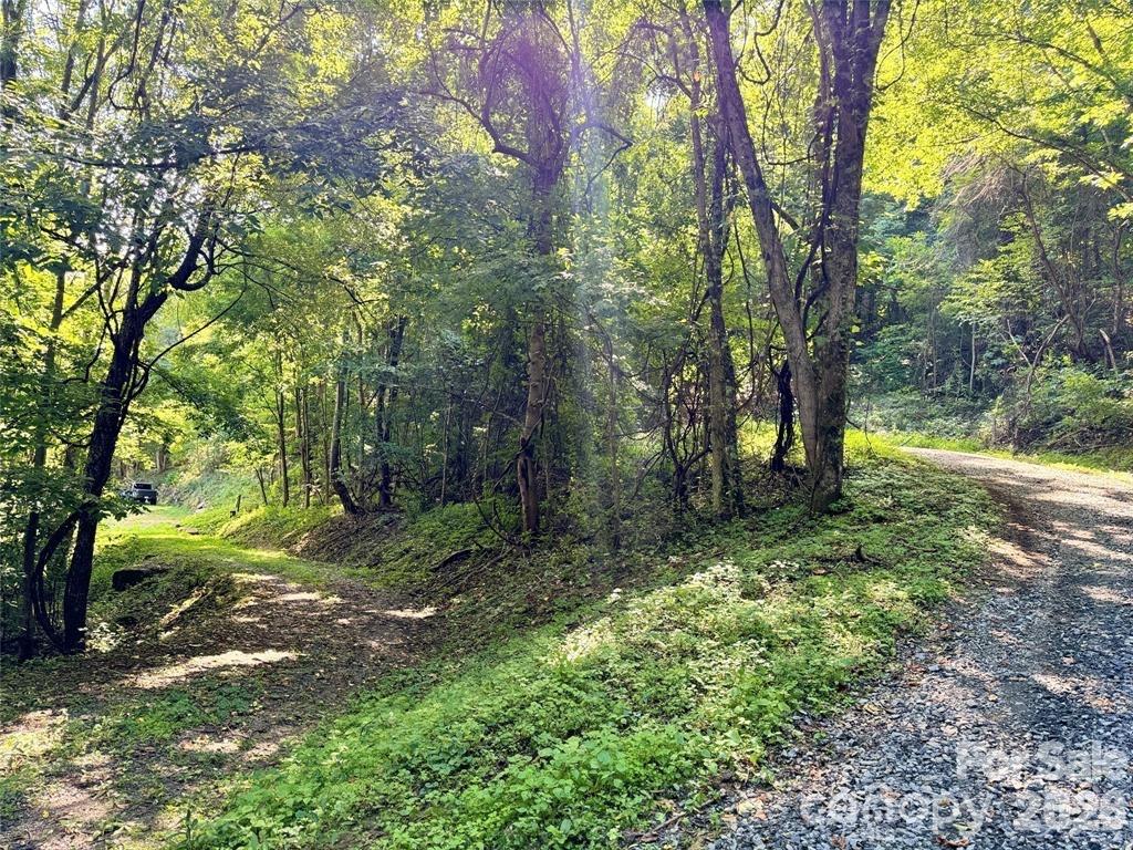 350 Scotts Trail Madison NC 28743