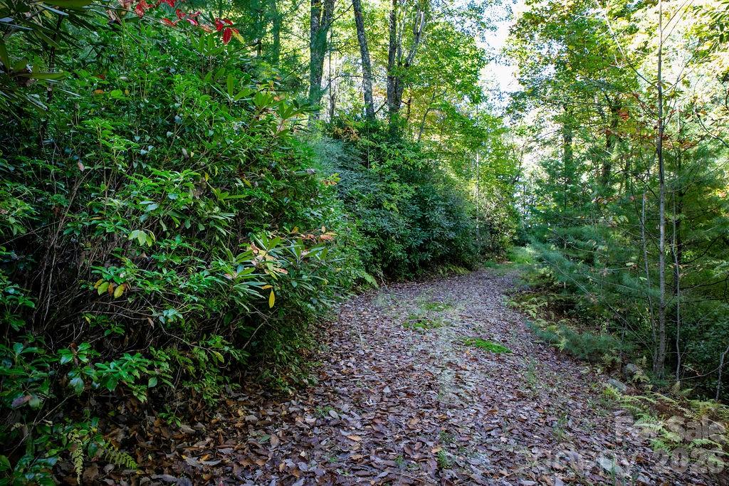 Tbd Rock Face Road Brevard NC 28712