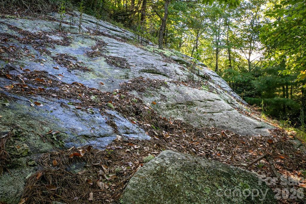 Tbd Rock Face Road Brevard NC 28712