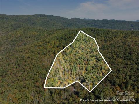 0000 Old Post Office Road North Cove NC 28752