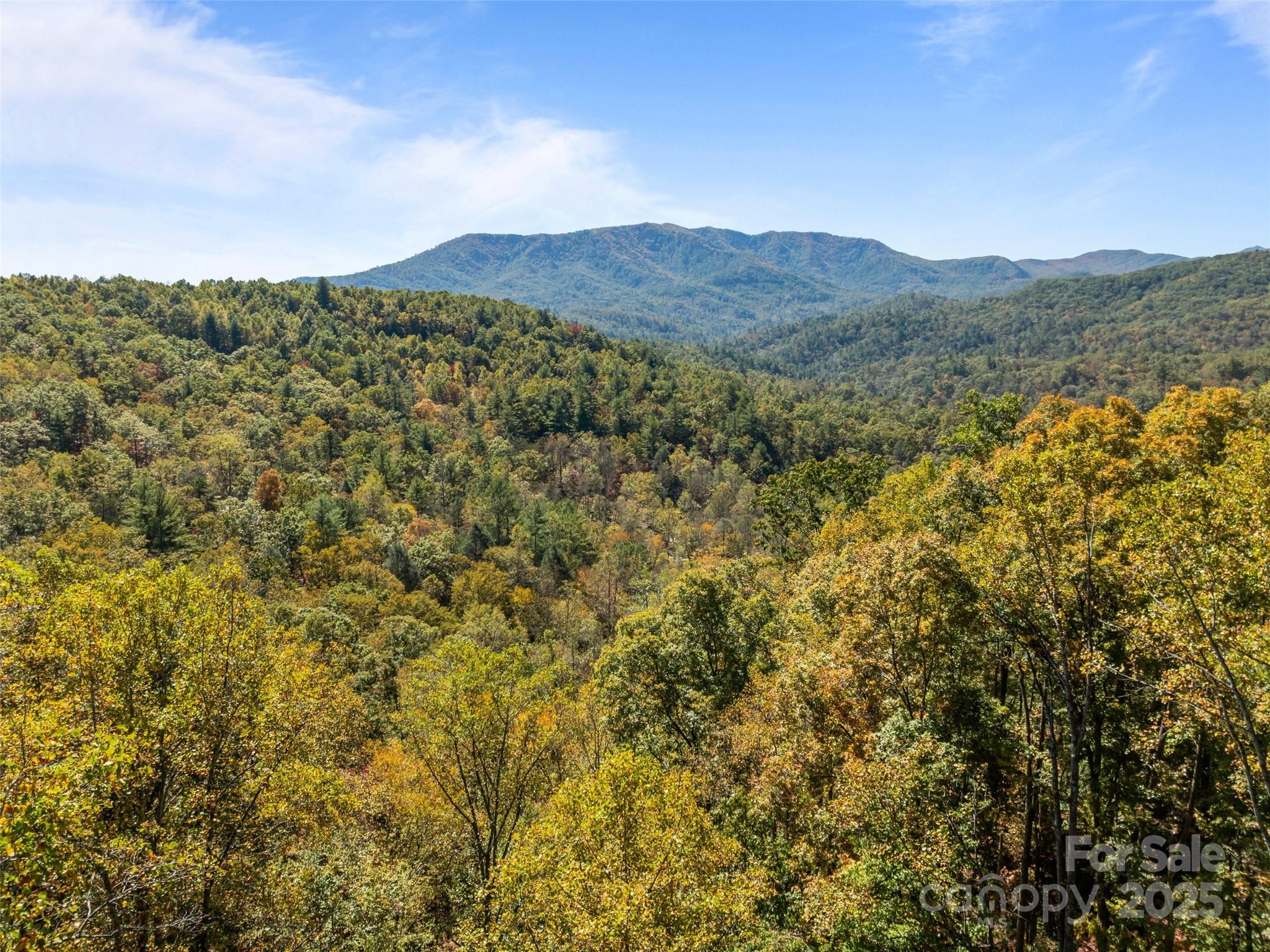 0000 Old Post Office Road North Cove NC 28752