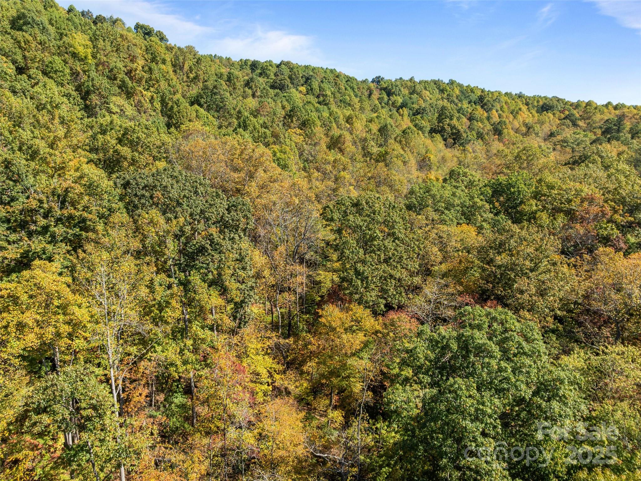 0000 Old Post Office Road North Cove NC 28752