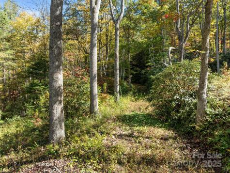 0000 Old Post Office Road North Cove NC 28752