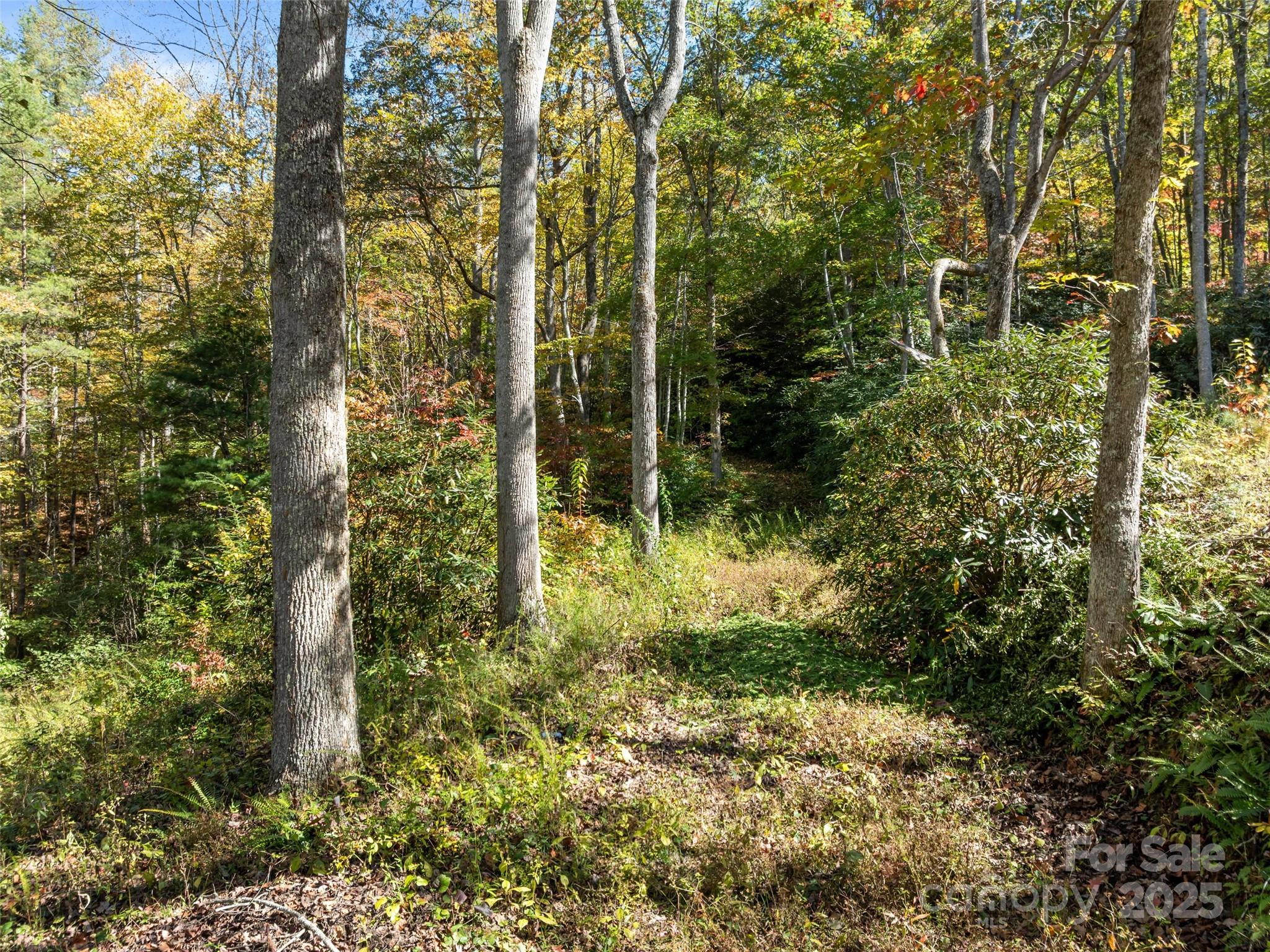 0000 Old Post Office Road North Cove NC 28752