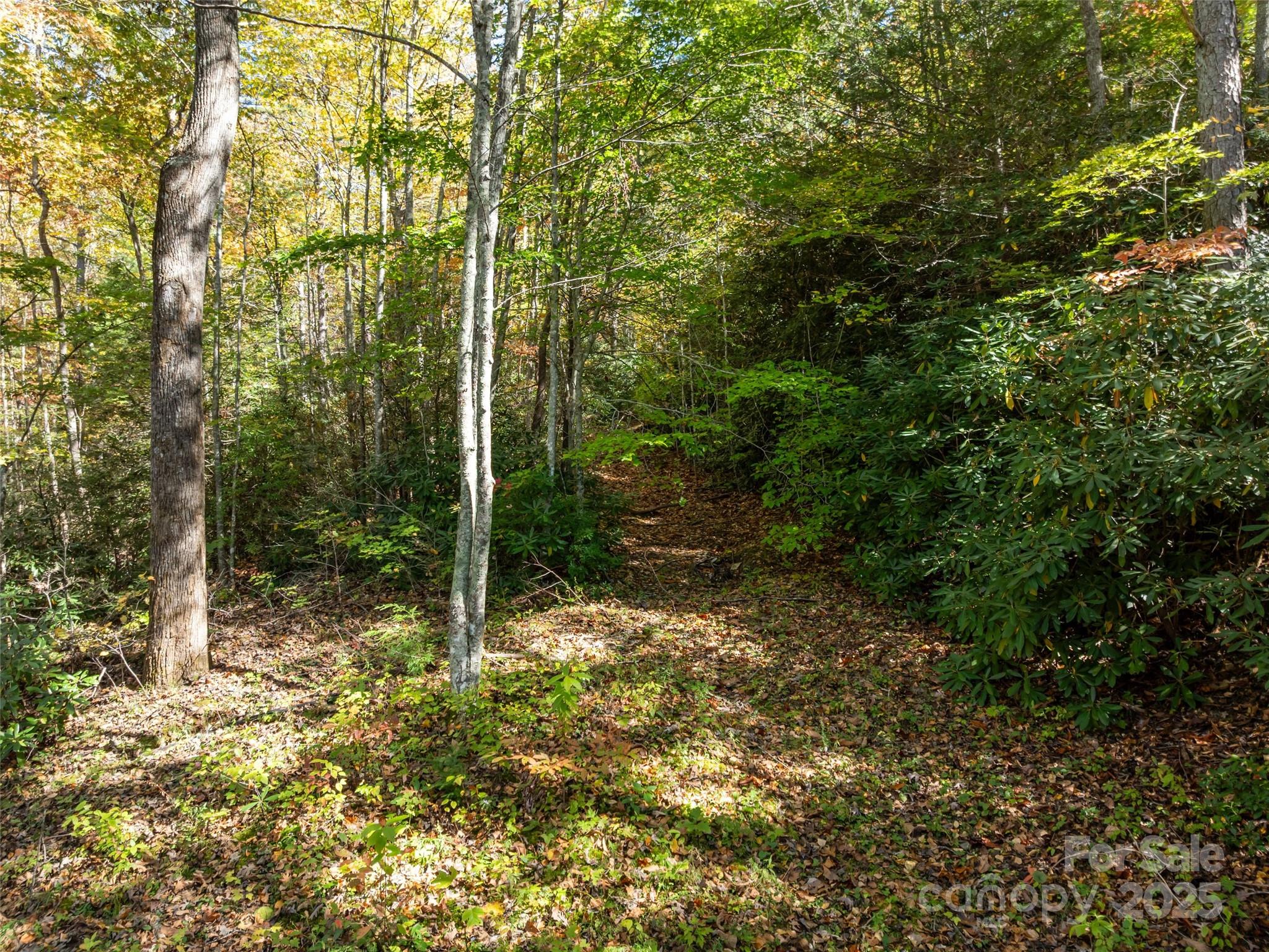 0000 Old Post Office Road North Cove NC 28752