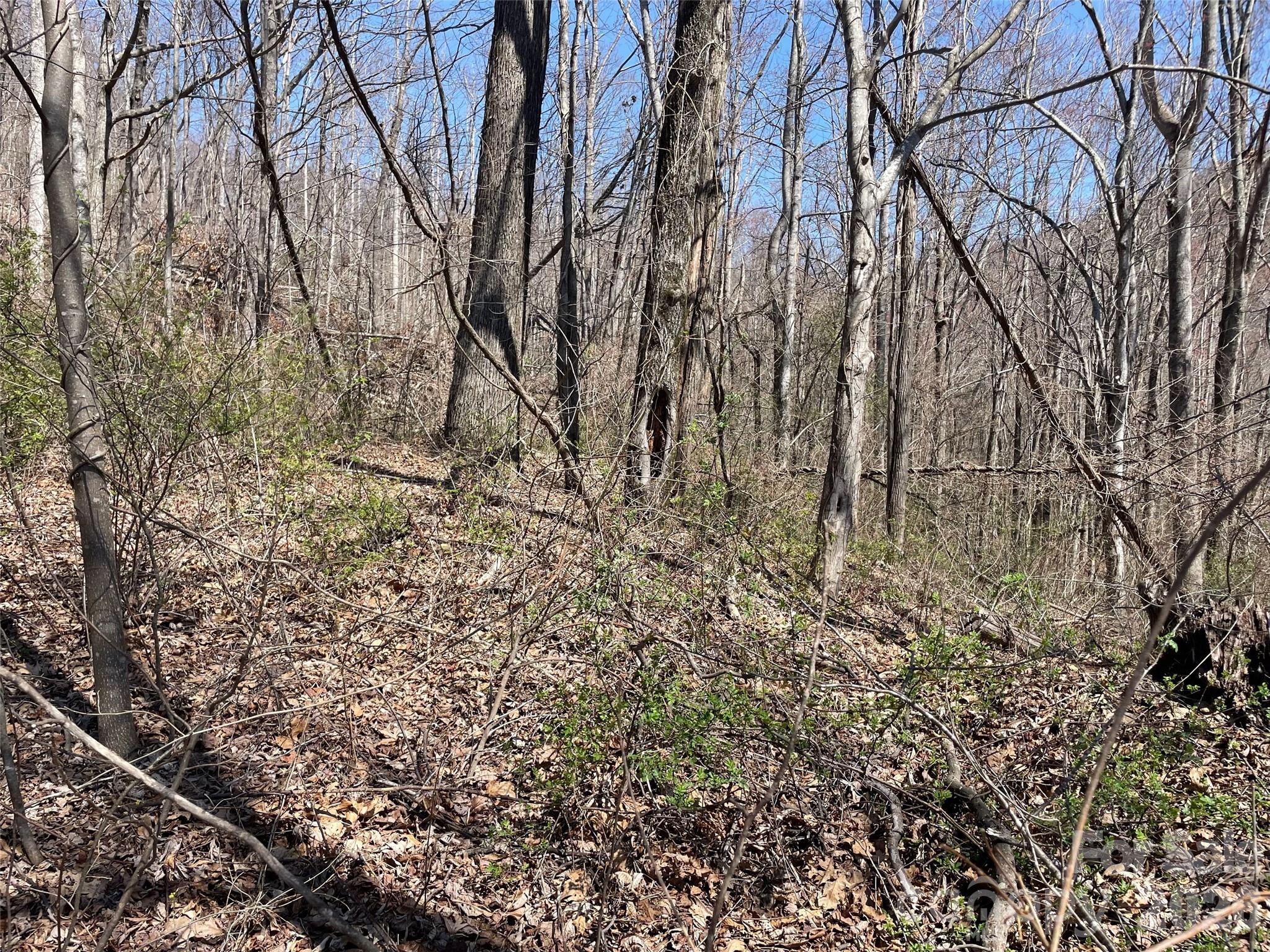 182 Old Mountain Pass Hendersonville NC 28792