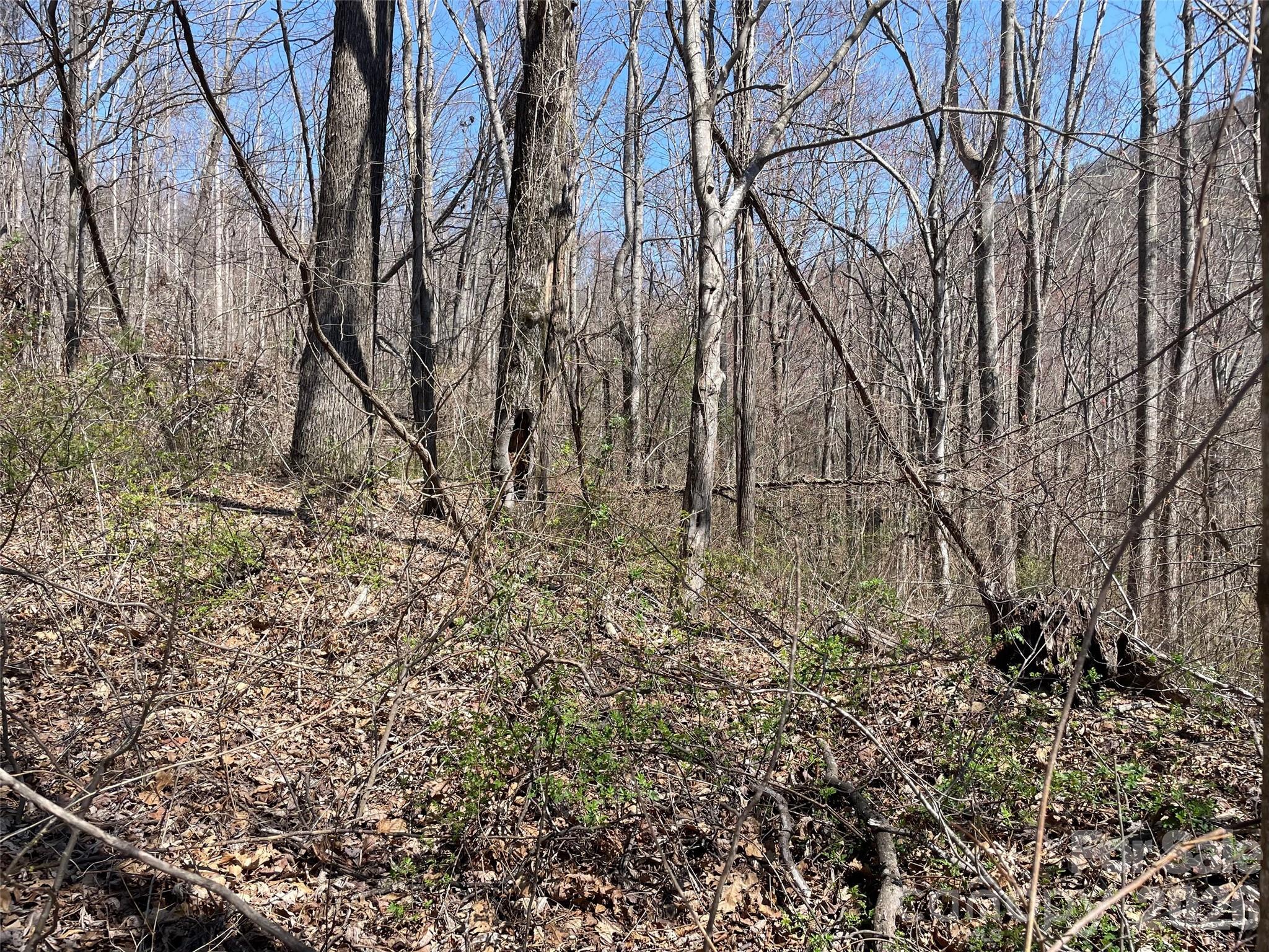 182 Old Mountain Pass Hendersonville NC 28792