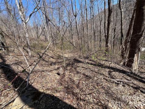 182 Old Mountain Pass Hendersonville NC 28792