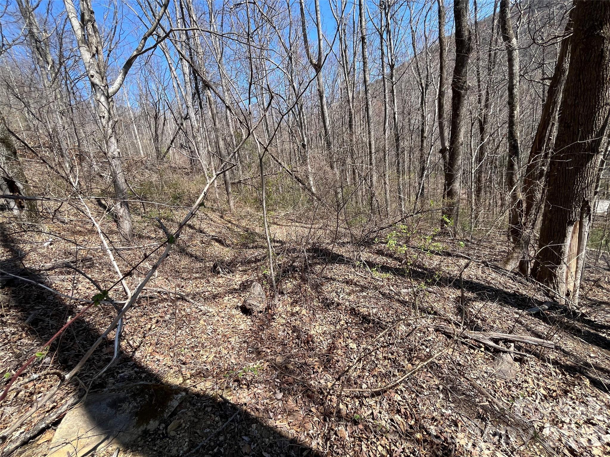 182 Old Mountain Pass Hendersonville NC 28792