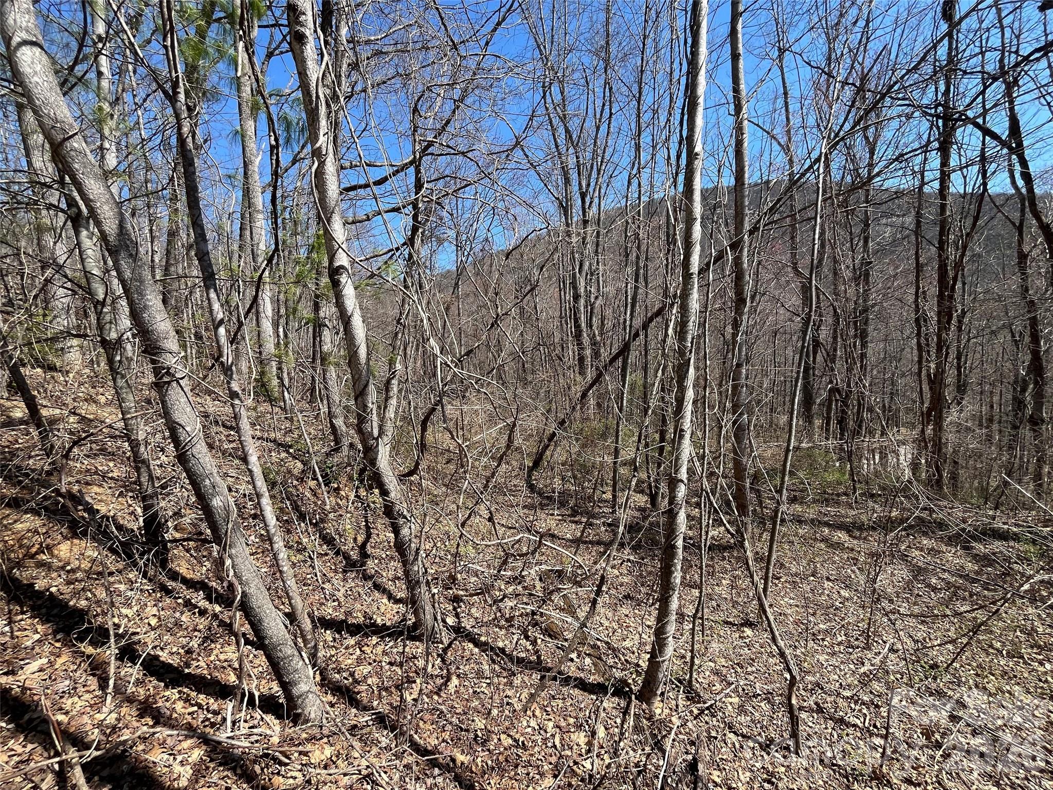 182 Old Mountain Pass Hendersonville NC 28792