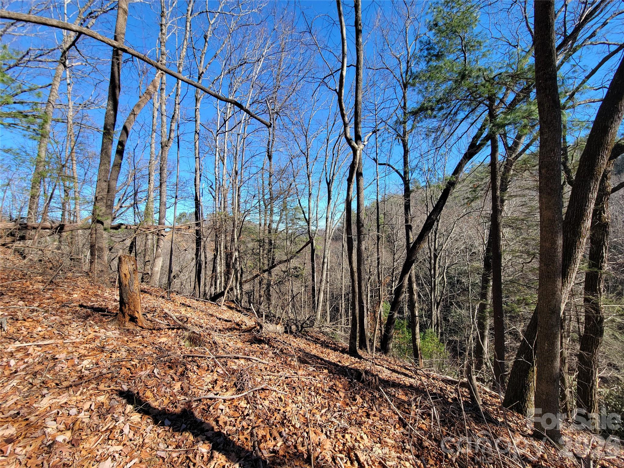 0 Timberline Drive Lenoir NC 28645