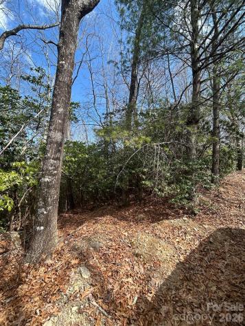 Lot 37 High Peak Road Hendersonville NC 28739