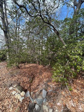 Lot 37 High Peak Road Hendersonville NC 28739