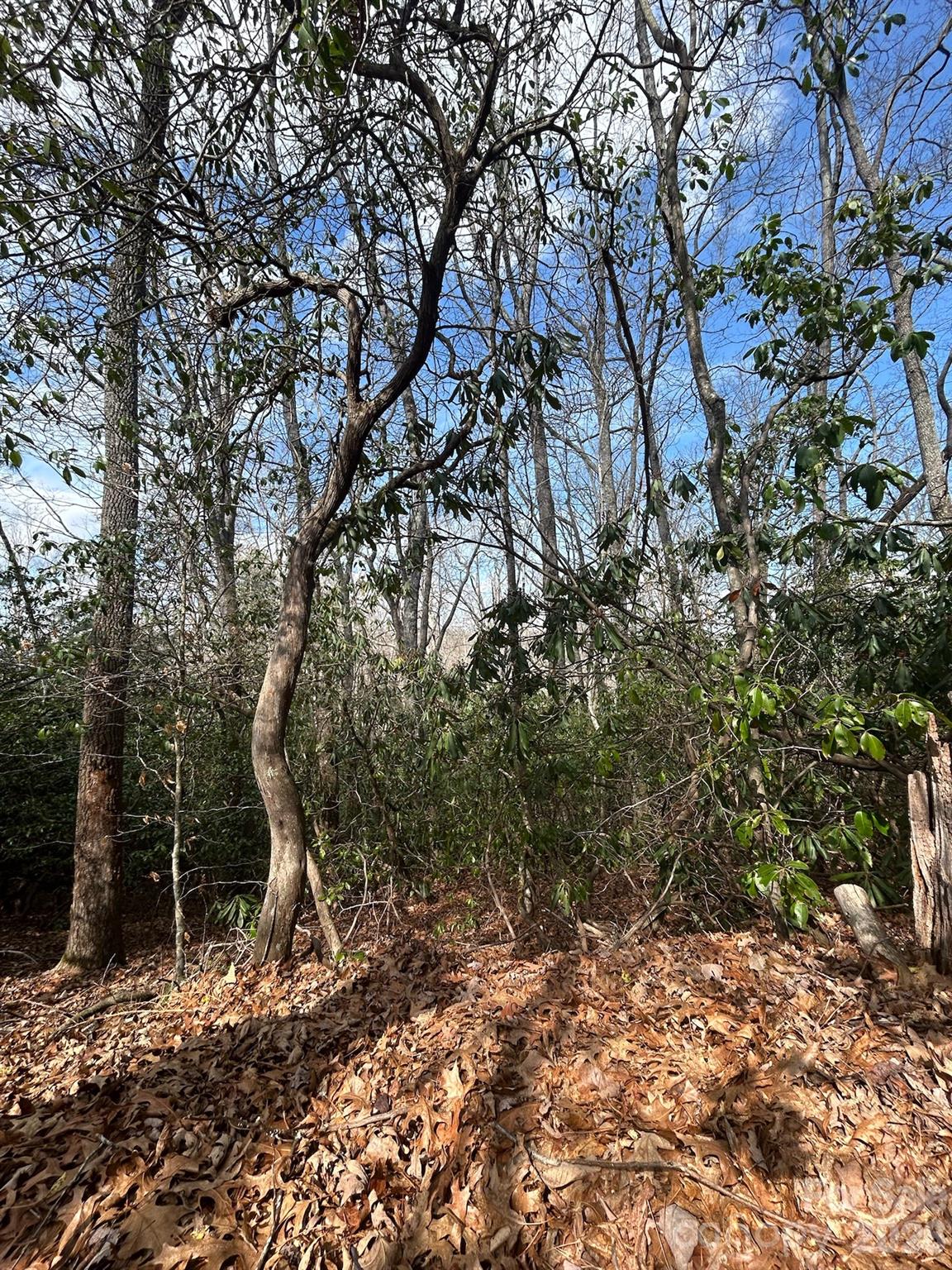 Lot 37 High Peak Road Hendersonville NC 28739