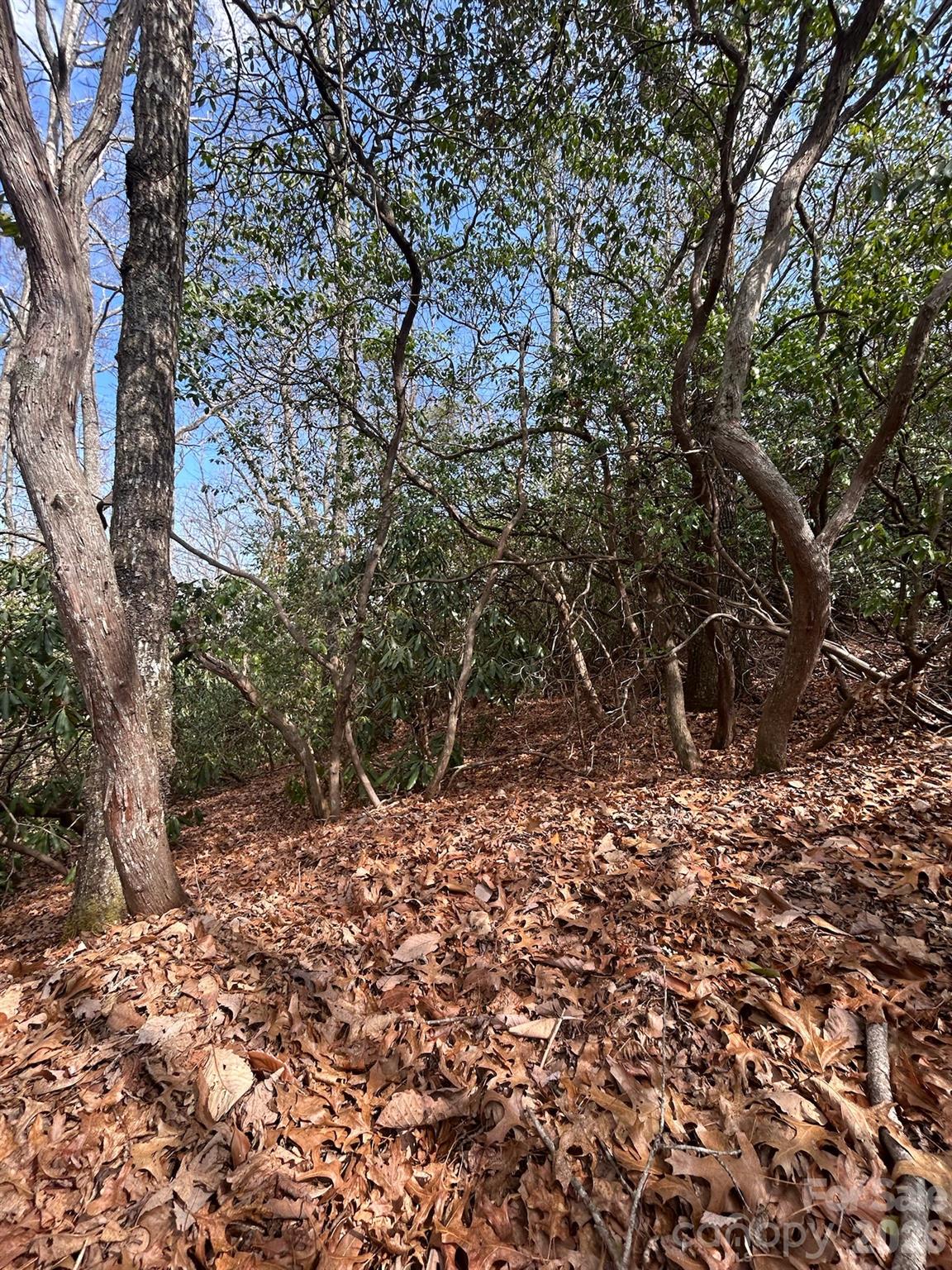 Lot 37 High Peak Road Hendersonville NC 28739