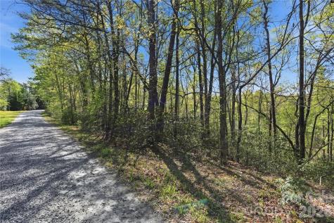 Lot 304 Sanderling Court Lake Lure NC 28746
