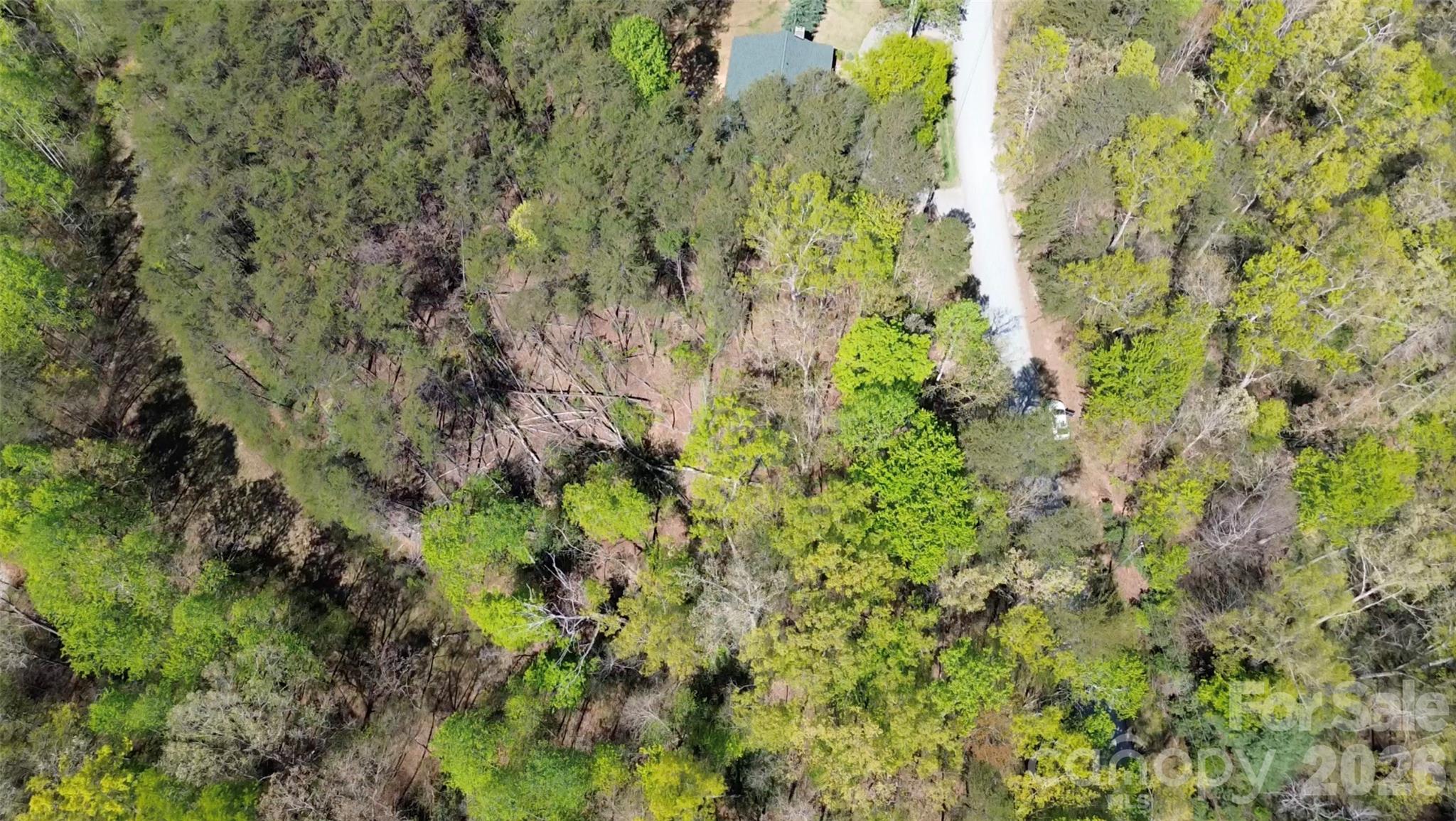 Lot 304 Sanderling Court Lake Lure NC 28746