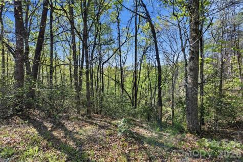 Lot 304 Sanderling Court Lake Lure NC 28746