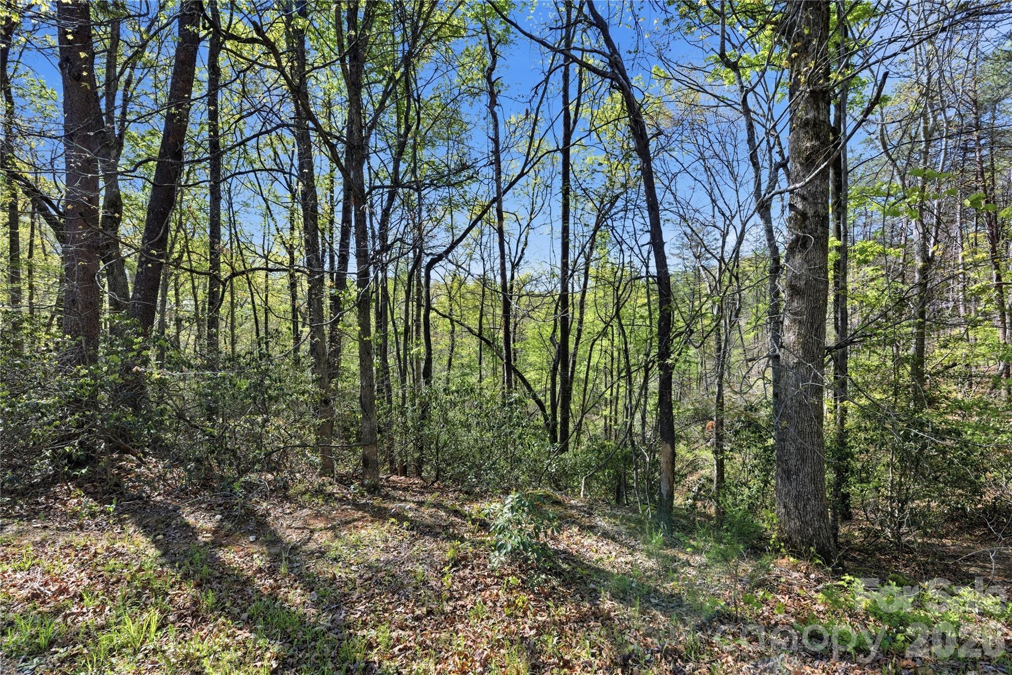 Lot 304 Sanderling Court Lake Lure NC 28746