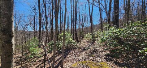 4.17 Acres Spruce Lane Zirconia NC 28790