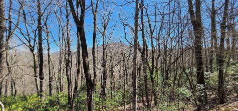 4.17 Acres Spruce Lane Zirconia NC 28790