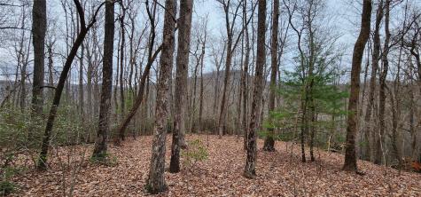 4.17 Acres Spruce Lane Zirconia NC 28790