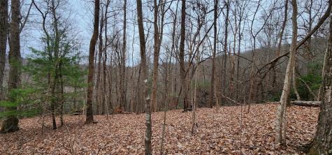 4.17 Acres Spruce Lane Zirconia NC 28790