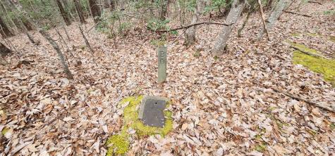 4.17 Acres Spruce Lane Zirconia NC 28790