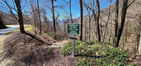 4.17 Acres Spruce Lane Zirconia NC 28790