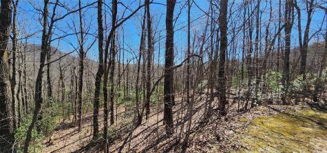4.17 Acres Spruce Lane Zirconia NC 28790