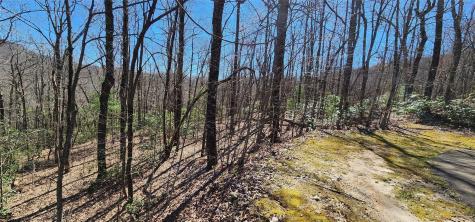 4.17 Acres Spruce Lane Zirconia NC 28790